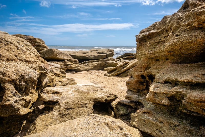         
                    Looking through rocks at Washington Oaks
